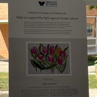 HHO Cancer Survivorship Event Photo 11